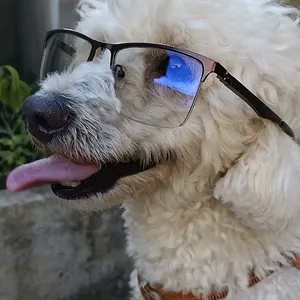 Foto de perfil de Guilherme Feitosa